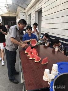 成华区吃瓜群众,揭秘社区生活百态