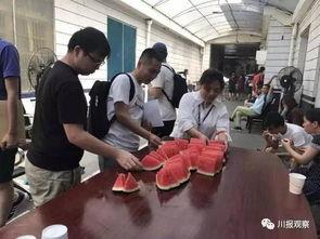 成华区吃瓜群众,揭秘社区生活百态