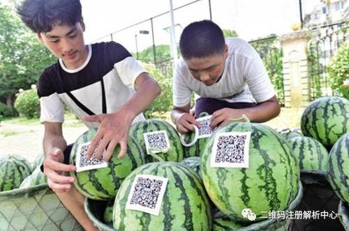 成华区吃瓜群众,揭秘社区生活百态