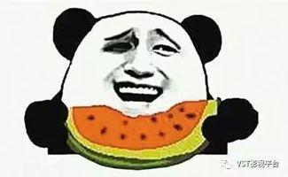 吃瓜群众的儿女们下载,揭秘新一代的娱乐世界