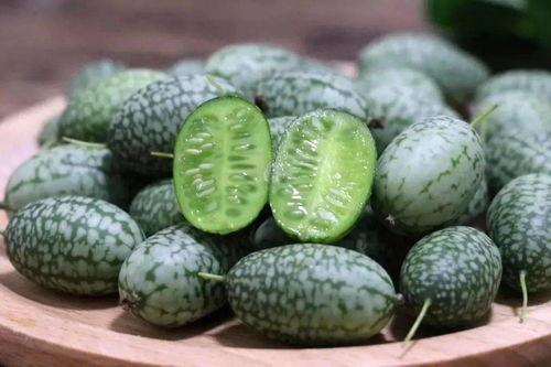 吃瓜群众的瓜是指那哪些瓜,网络热词背后的文化现象