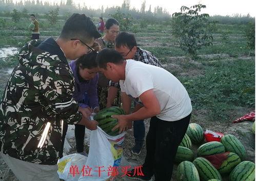 吃瓜群众给力,揭秘娱乐圈幕后真相