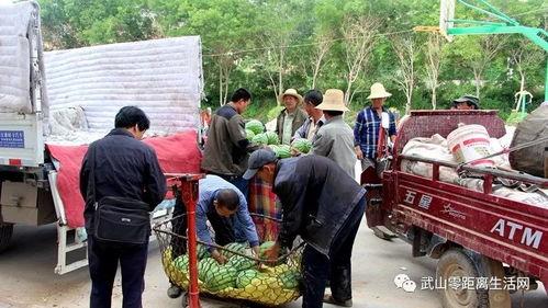 宁陵县吃瓜群众,吃瓜群众视角下的民生百态