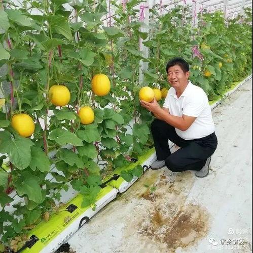 宁陵县吃瓜群众,吃瓜群众视角下的民生百态