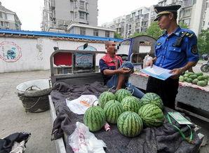 宁陵县吃瓜群众,吃瓜群众视角下的民生百态
