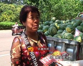 永济吃瓜群众新闻,吃瓜群众聚焦最新新闻动态