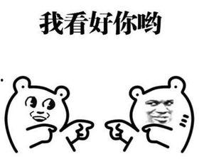 感谢支持吃瓜群众,共赏瓜田盛宴——致支持我们的吃瓜群众