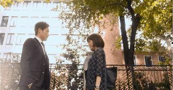 吃瓜群众都追的电视剧,揭秘热门电视剧背后的故事与魅力