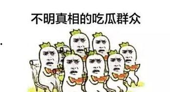 新一代的吃瓜群众,网络时代的围观力量
