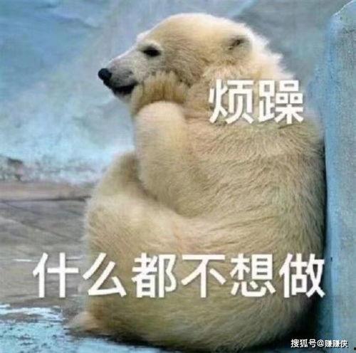 陌生的吃瓜群众图片,揭秘陌生“吃瓜群众”背后的故事