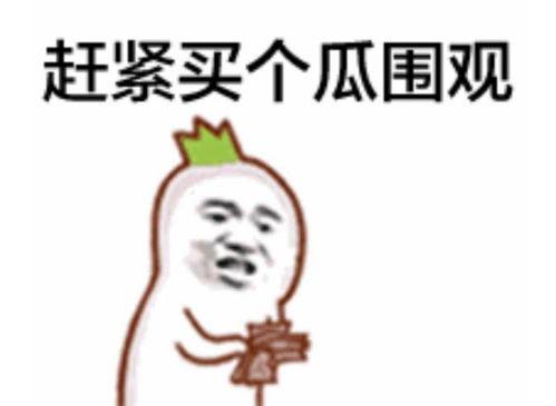 吃瓜群众 直播圈子爆满,直播圈子爆满,热门话题热议不断