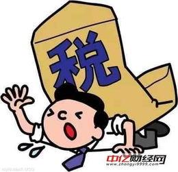 你会接受吃瓜群众吗,我眼中的社会观察者与参与者