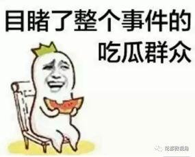 全员吃瓜群众怎么说,吃瓜群众热议风云录