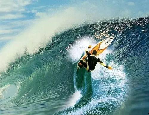 冲浪达人吃瓜群众是谁,揭秘网络红人的幕后故事