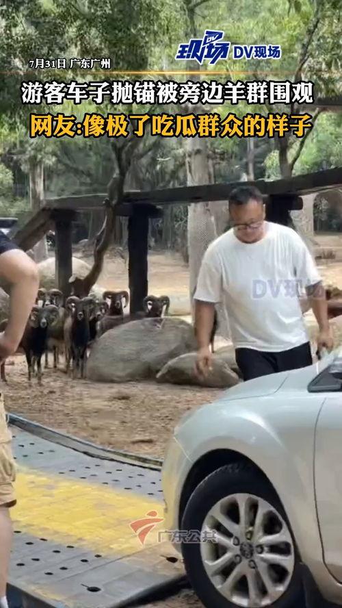 吃瓜群众的车多少钱,吃瓜群众眼中的豪车价格大揭秘