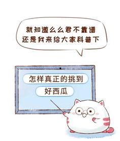 拒绝吃瓜群众的作文,共建理性社会