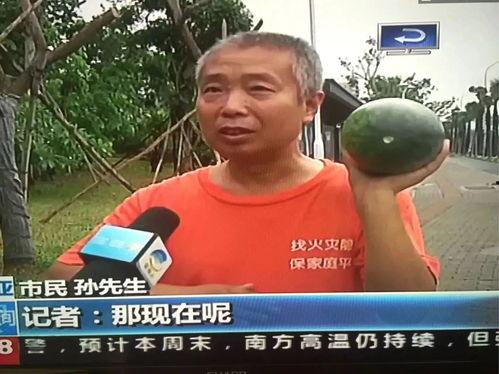 泽溪吃瓜群众事件,揭秘网络舆论的狂欢与反思