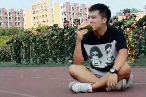 elaine吃瓜群众,吃瓜群众的视角,揭秘娱乐圈风云