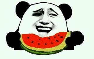 吃瓜群众新视频