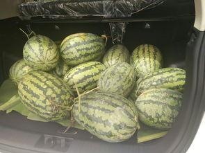 拿凳子的吃瓜群众叫什么