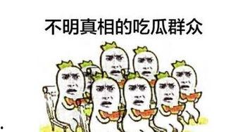 网络吃瓜群众图,揭秘网络舆论场的众生相