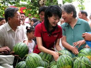 长清吃瓜群众,揭秘当地生活百态