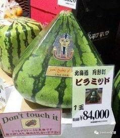 单位全是吃瓜群众,吃瓜群众视角下的社会百态