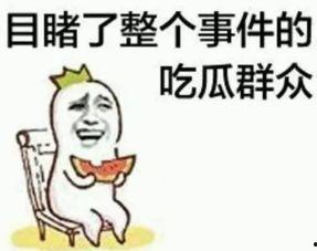 吃瓜群众岳明辉是谁的孩子